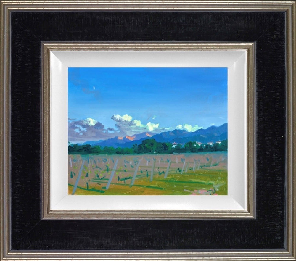 Open skies (Framed)