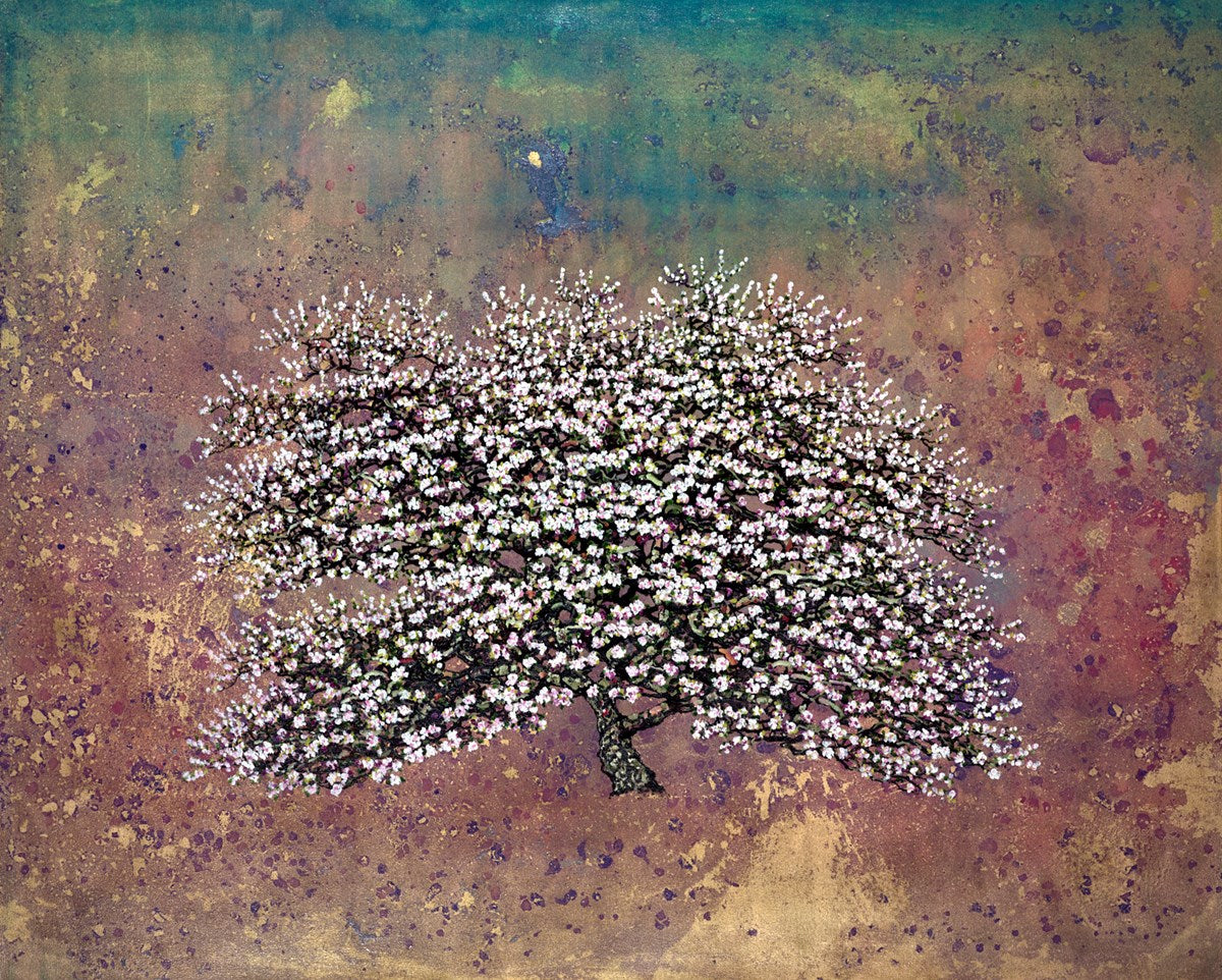 Coral Bloom