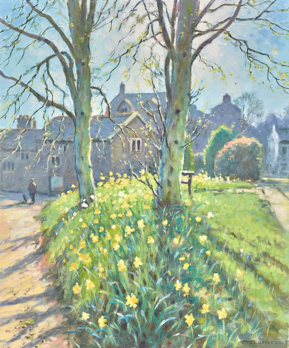 Daffodils